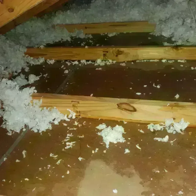 Attic Water Damage in Midland, PA