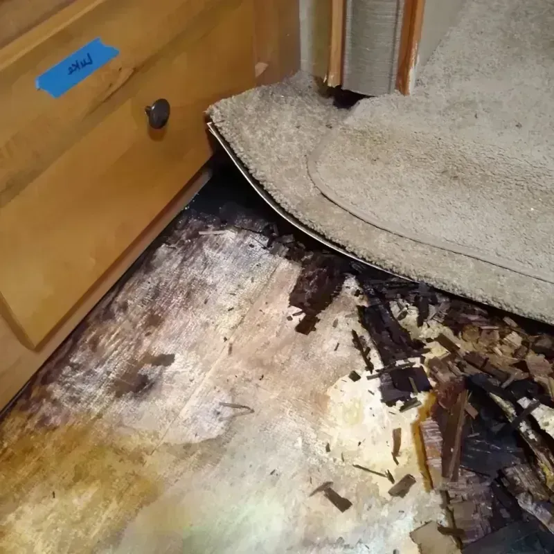 Best Wood Floor Water Damage Service in Midland, PA